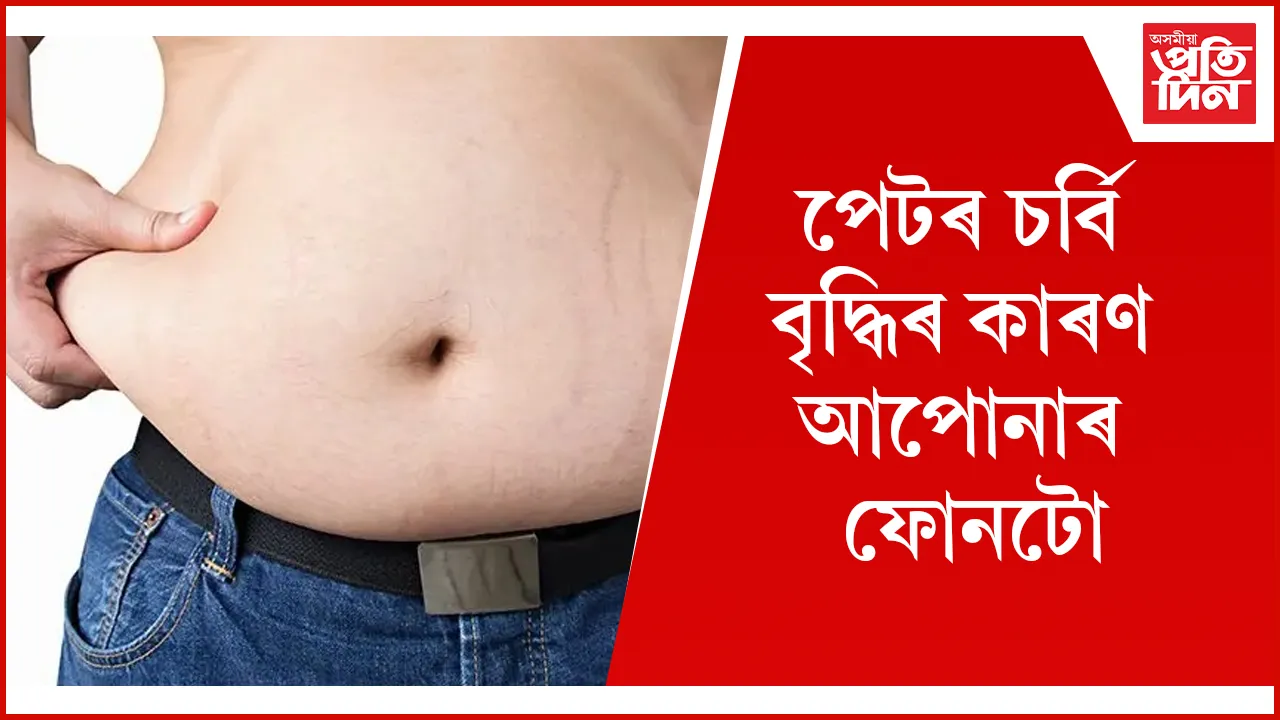 চৰ্বি  seo