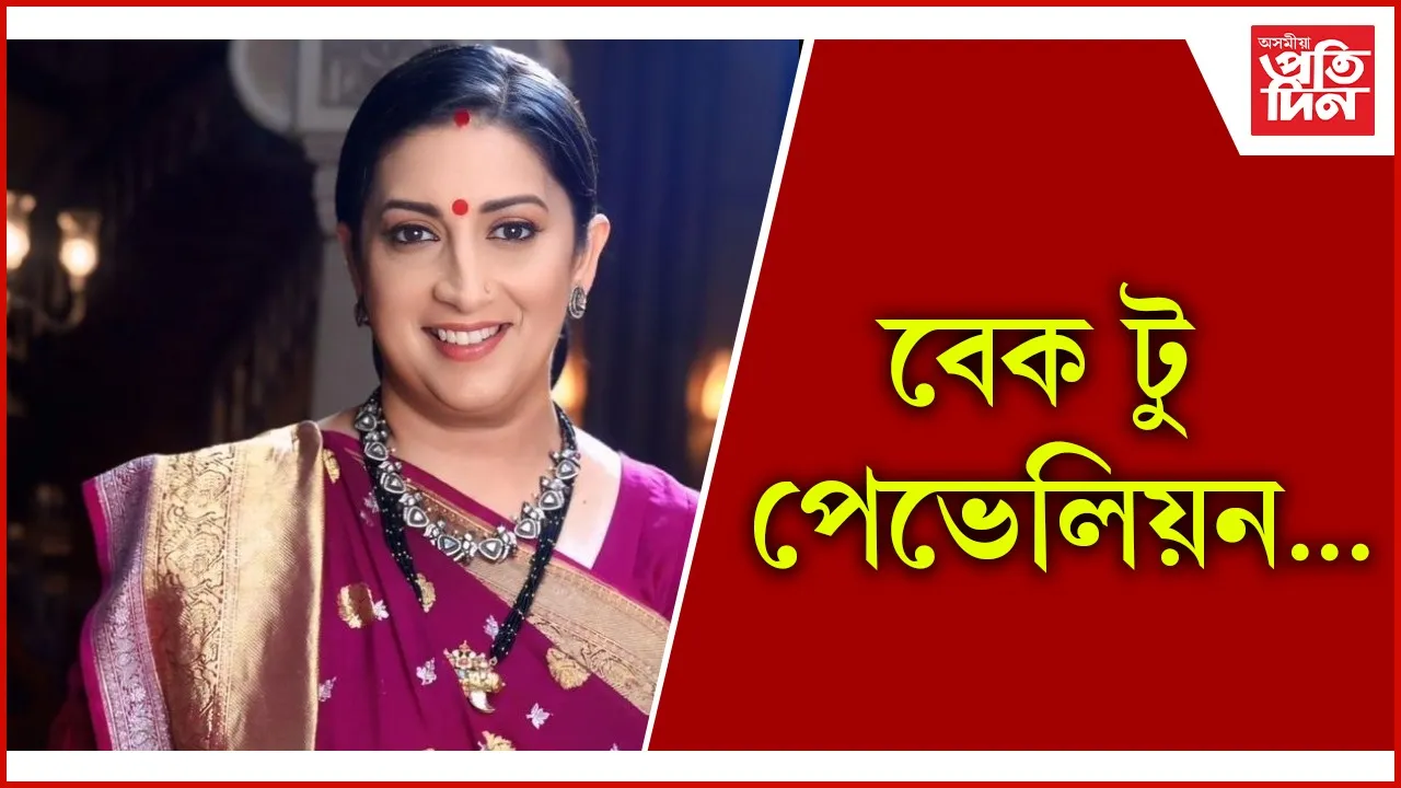বেক টু পেভেলিয়ন… seo