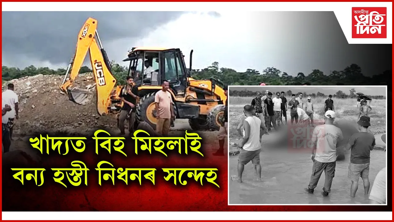 তিনিদিনৰ ব্যৱধানত দুটাকৈ বনৰীয়া হাতীৰ মৃত্যুঃ খাদ্যত বিহ মিহলাই দিয়াৰ সন্দেহ
