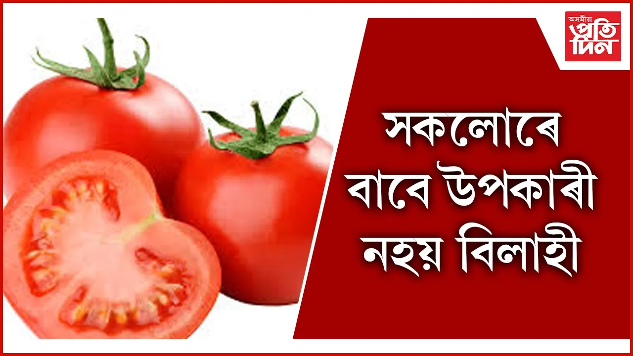 বিলাহী seo