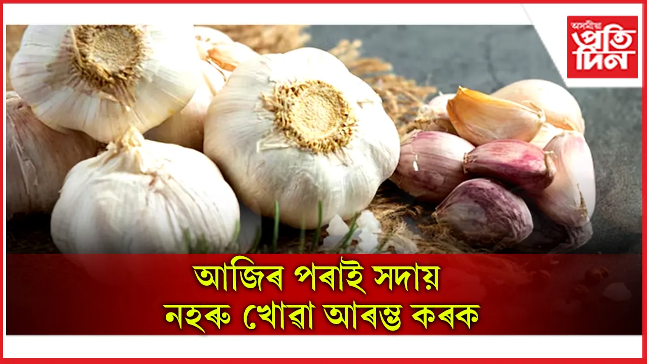 garlic