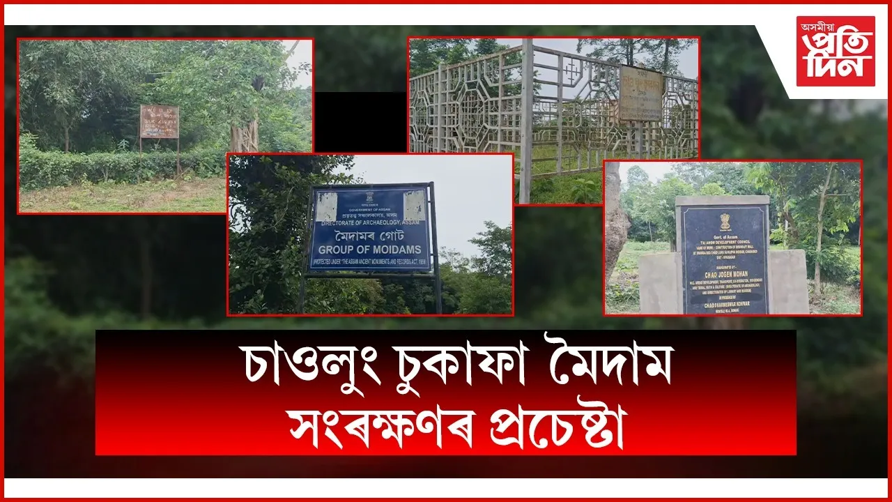 চাওলুং চুকাফা মৈদামৰ বেদখলকৃত ভূমি স্বেচ্ছাই এৰি দিব ১৩ টাকৈ পৰিয়ালে