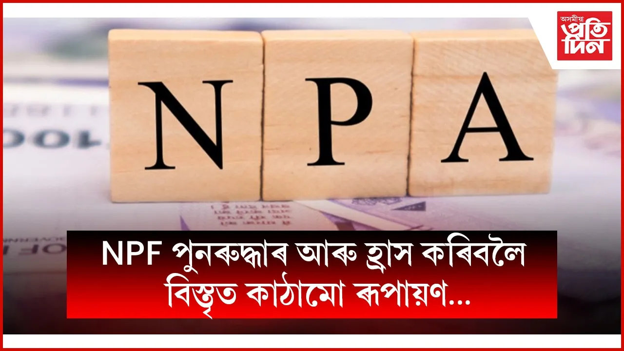 web ap npa
