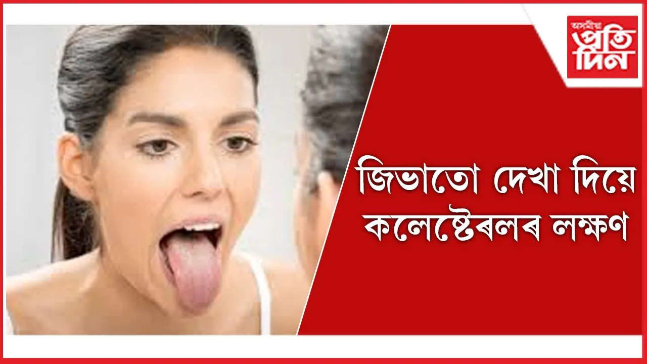 জিভা web