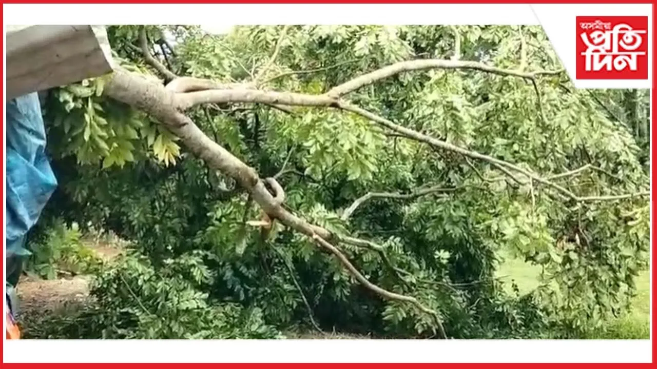 প্ৰচণ্ড ধুমুহাত জামুগুৰিৰ উত্তৰাঞ্চলত বিস্তৰ ক্ষতিঃ ব্যাহত বিদ্যুৎ সেৱা...