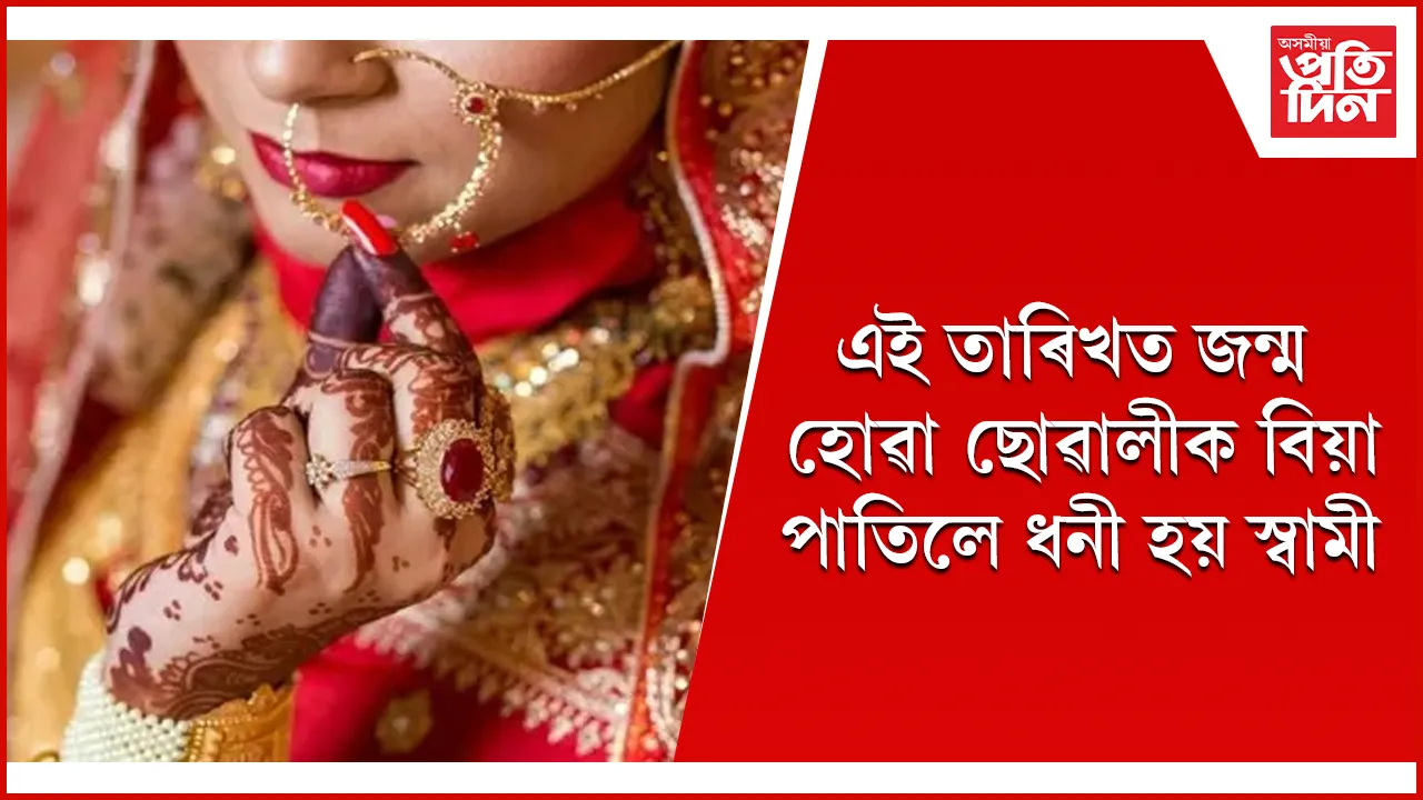 ধনী  seo