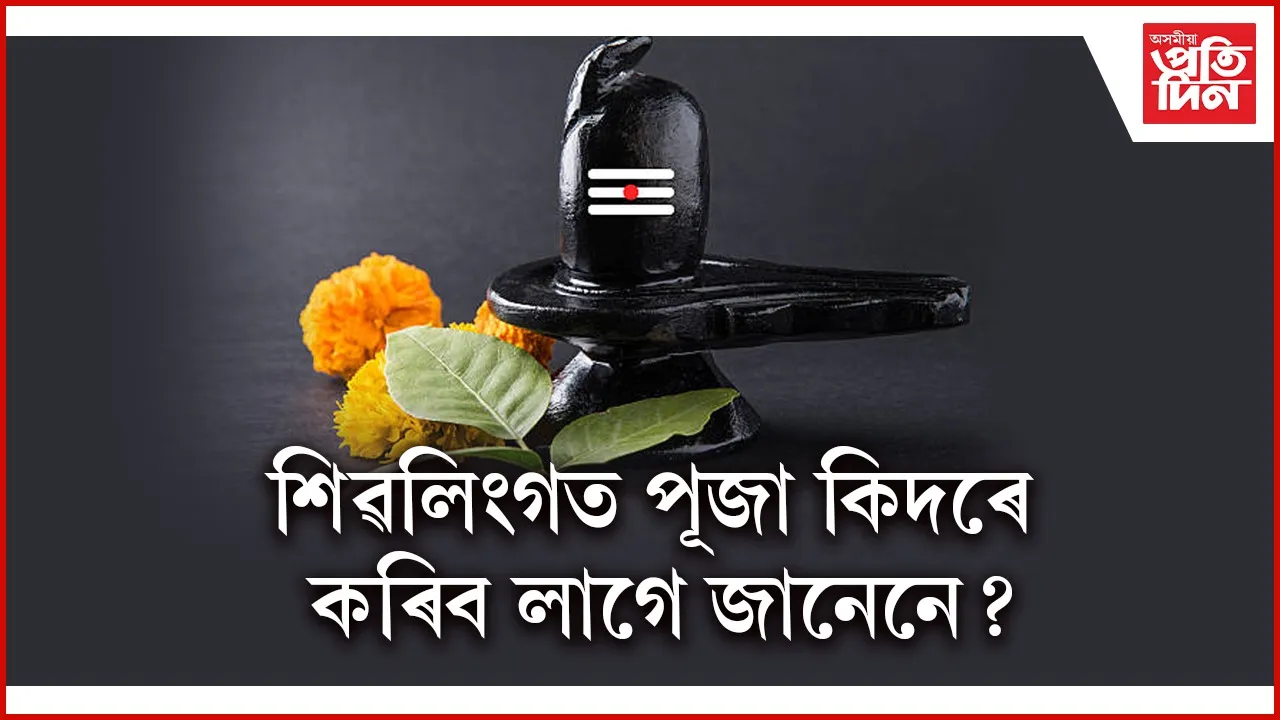 web ap shivling