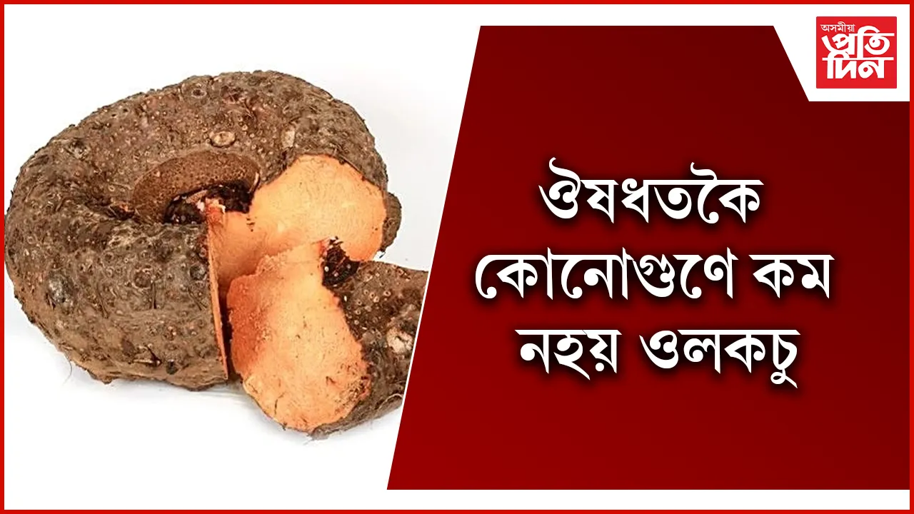 ওলকচু seo