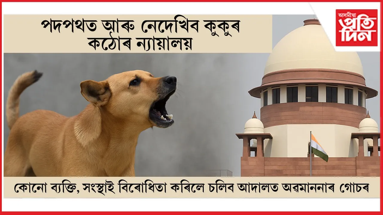 পদপথৰ কুকুৰৰ বিৰুদ্ধে কঠোৰ উচ্চতম ন্যায়ালয়...