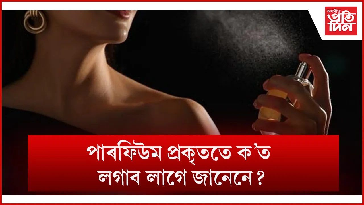 পাৰফিউম seo