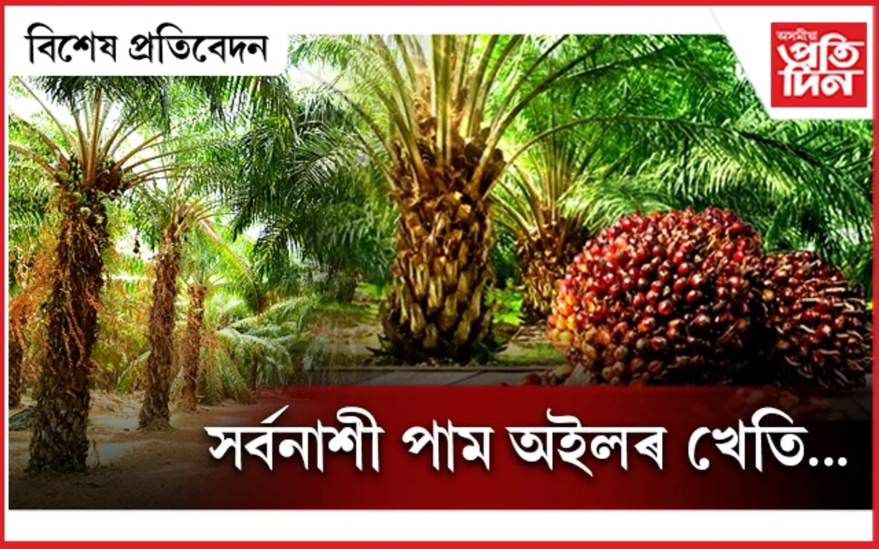 AP bikhekh pratibedon1