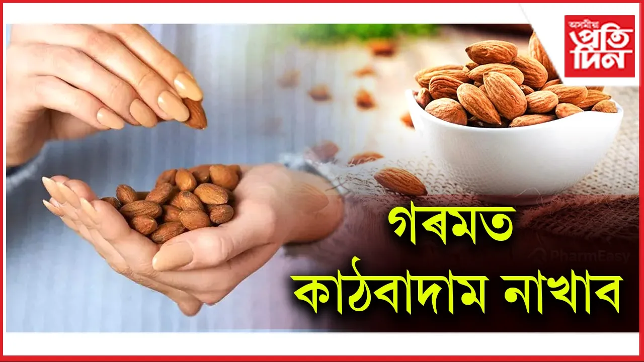 কাঠবাদাম