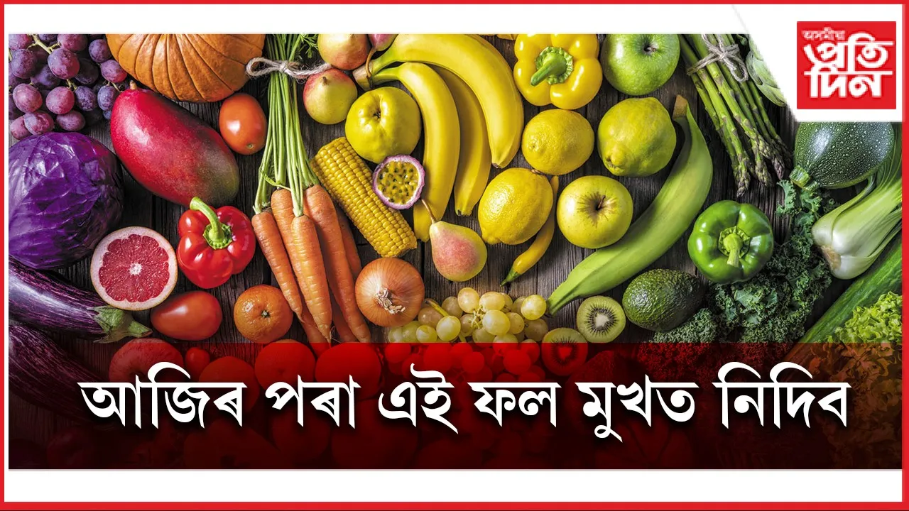 ফল web seo