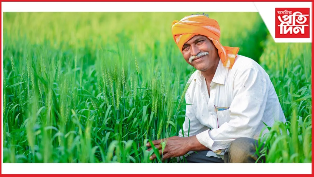 কৃষক, গ্ৰাম্য জীৱন ধাৰণৰ বাবে বৃহৎ সকাহ- জি এছ টি ২.০