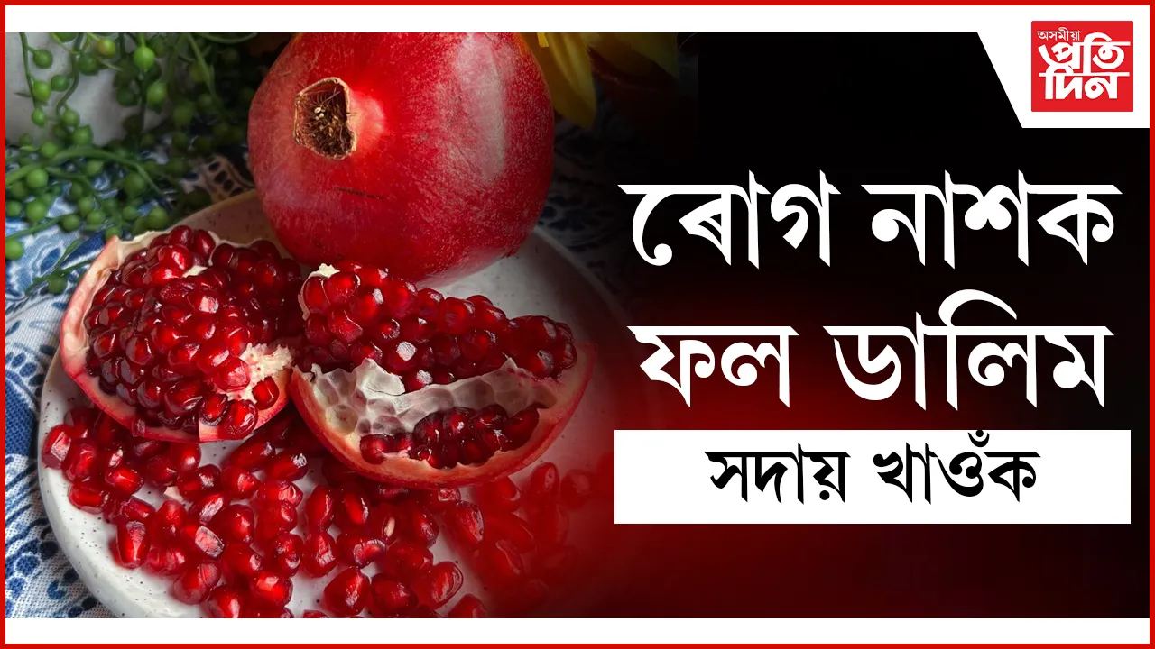 ডালিম seo (1)