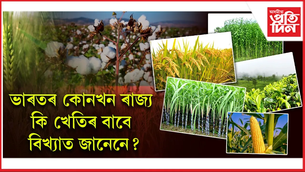 ভাৰতৰ কোনখন ৰাজ্য কি খেতিৰ বাবে বিখ্যাত জানেনে