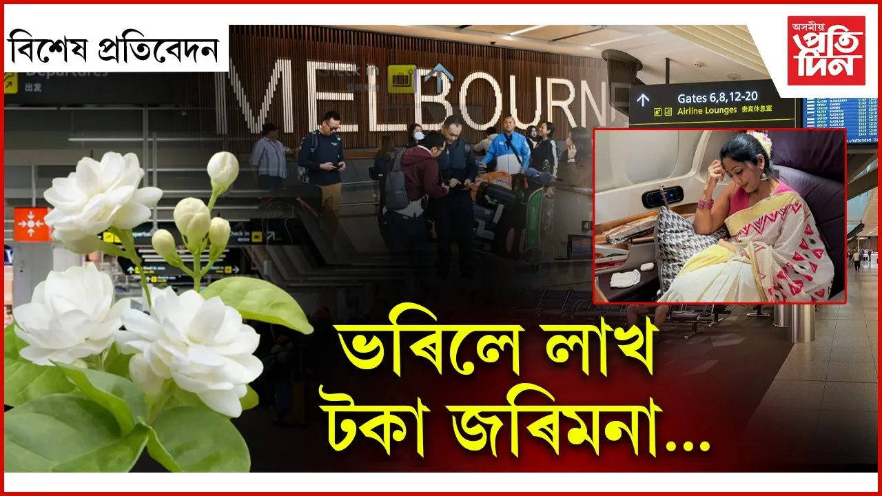 WhatsApp Image 2025-09-08 at 3.11.43 PM