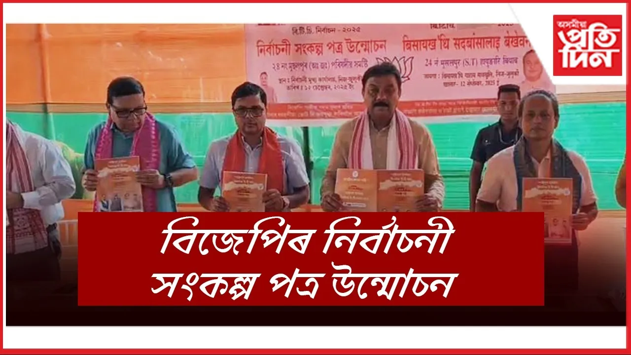 WhatsApp Image 2025-09-12 at 12.58.07 PM