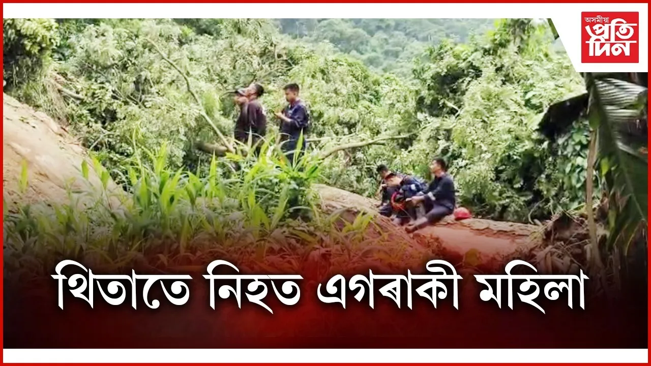 WhatsApp Image 2025-09-15 at 5.11.44 PM