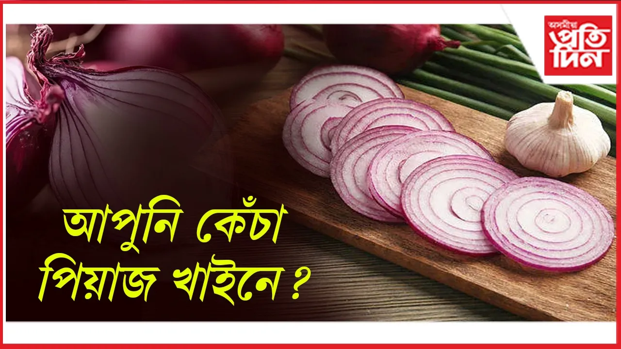 পিয়াজ seo