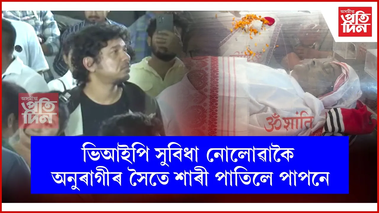 web ap papon