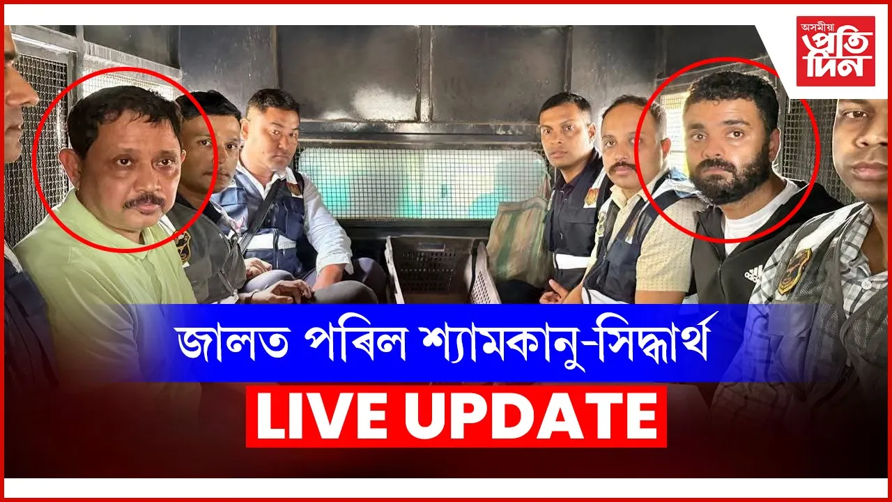 web ap live update