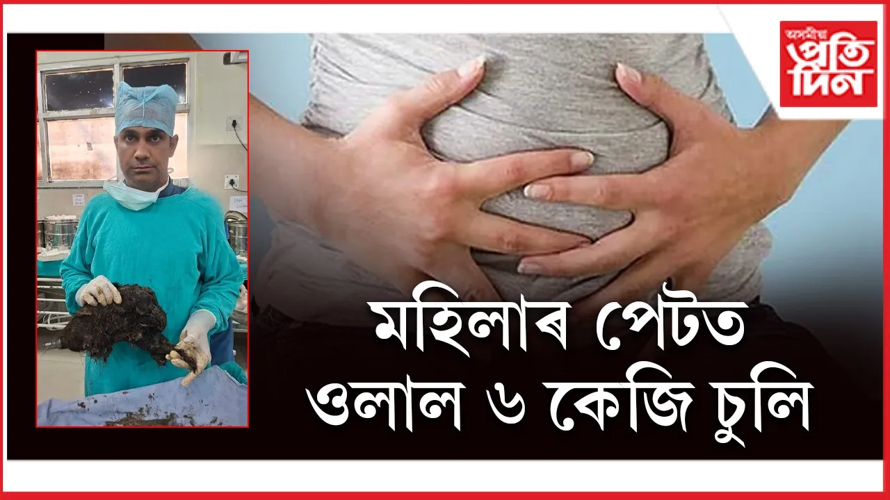 seo চুলি web