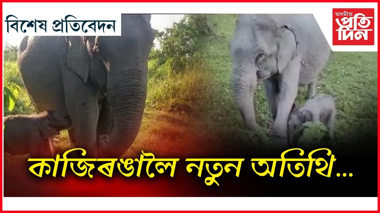 WhatsApp Image 2025-10-05 at 7.25.08 PM