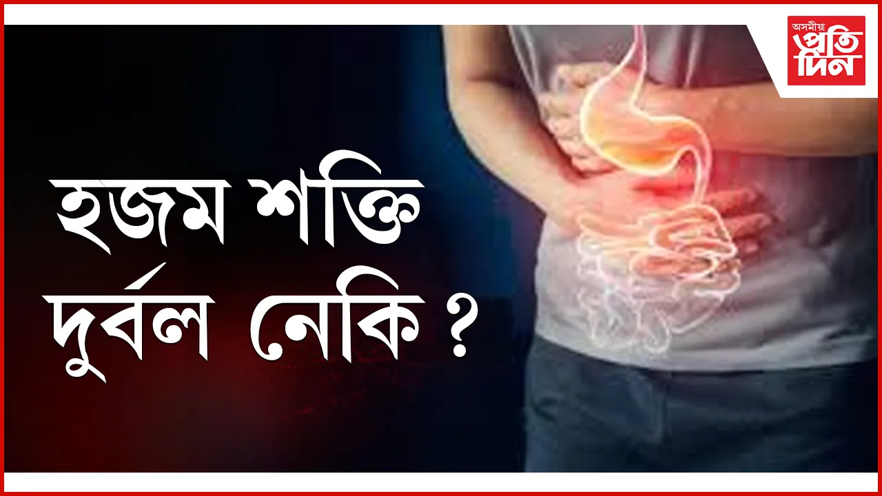 হজম web 1