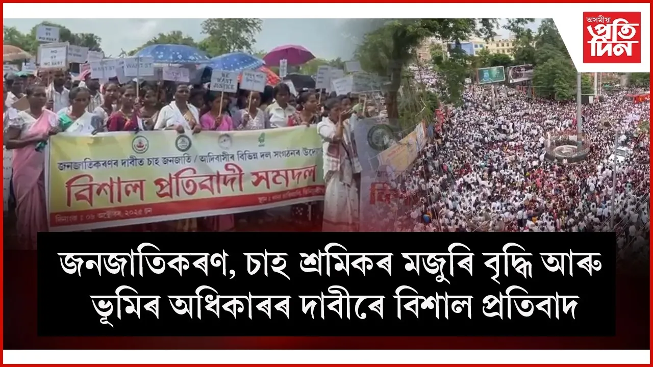 WhatsApp Image 2025-10-08 at 17.33.28
