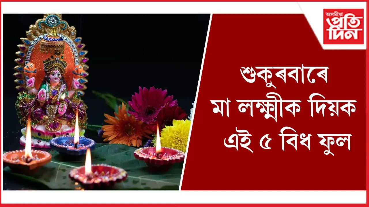 মা লক্ষ্মী seo