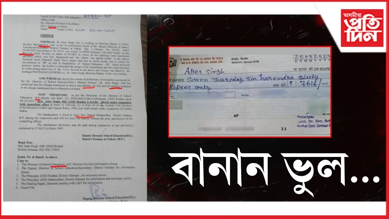 WhatsApp Image 2025-10-08 at 2.46.05 PM