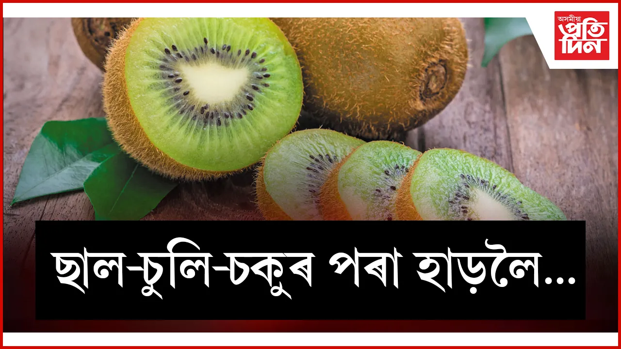 ছাল seo web