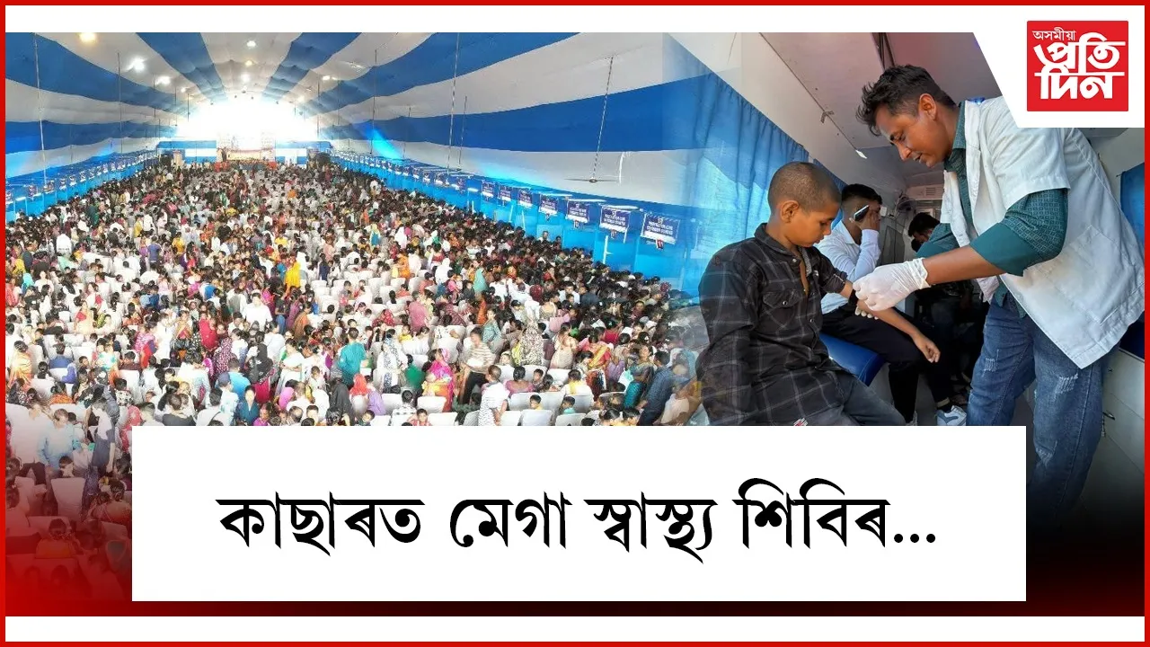 AP WEB CACHAR