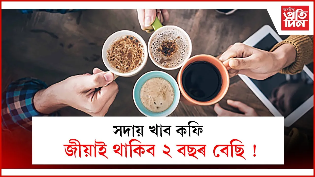 WhatsApp Image 2025-10-11 at 2.15.08 PM