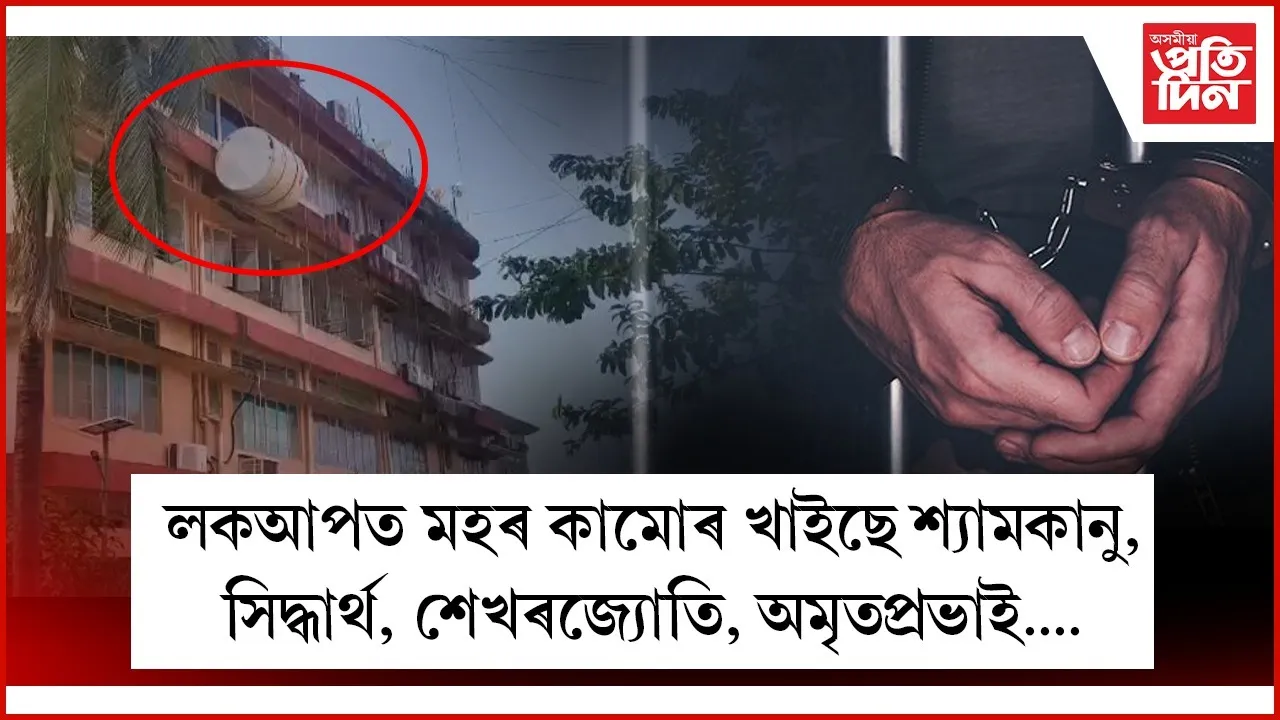 WhatsApp Image 2025-10-12 at 7.12.15 PM