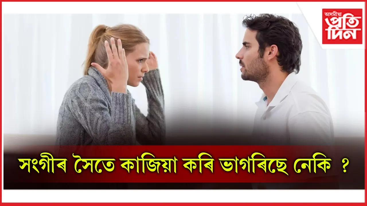 seo  কাজিয়া web