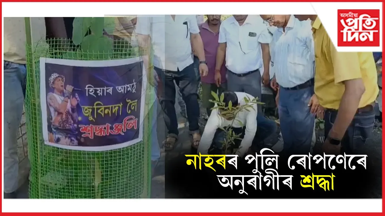 new ap web zubeen