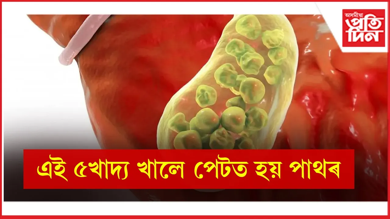 খাদ্য  seo