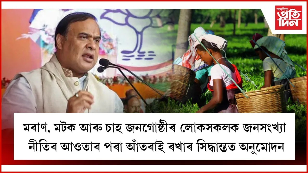 WhatsApp Image 2025-10-24 at 10.06.24 AM