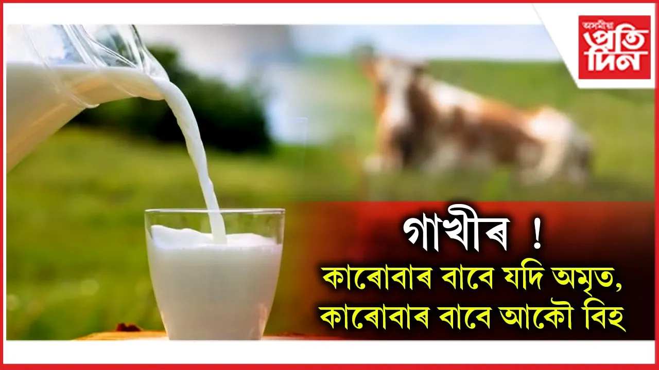 গাখীৰ !
