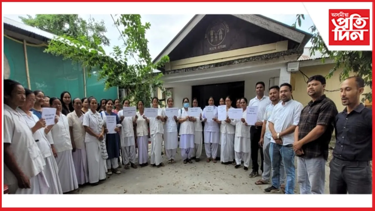 new ap web 11-11-24 new 2