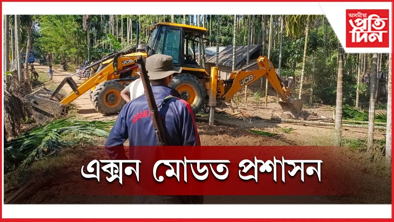 WhatsApp Image 2025-11-16 at 3.32.57 PM