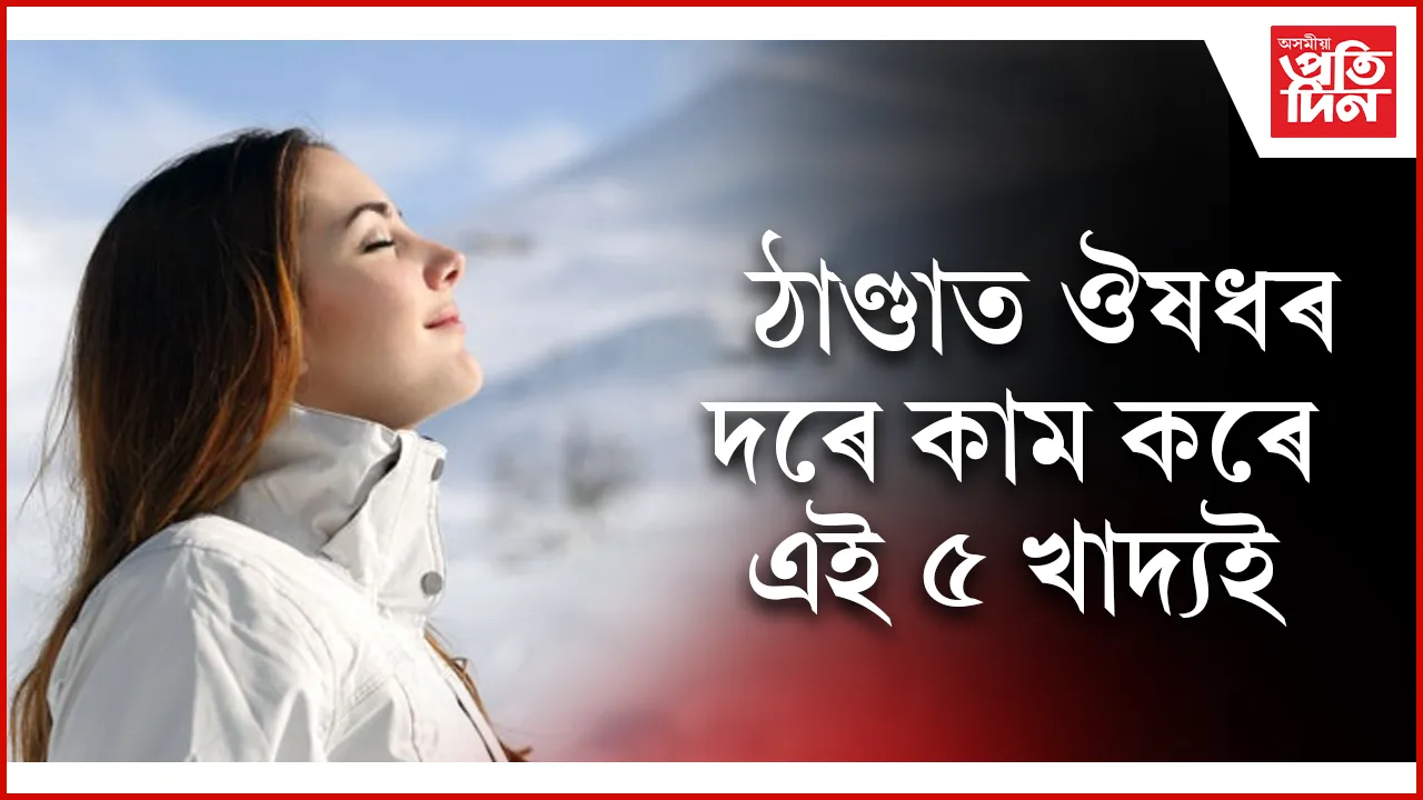 ৫ খাদ্য seooo