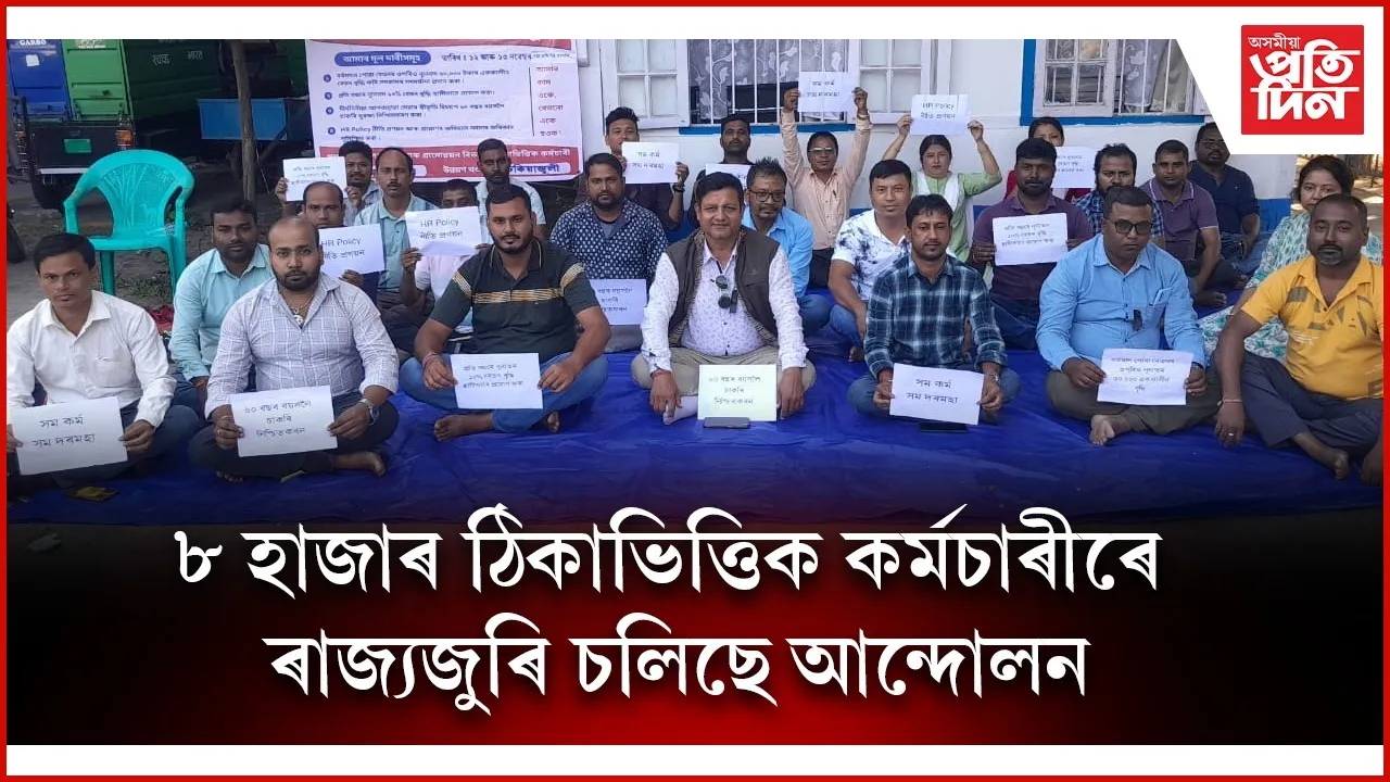 WhatsApp Image 2025-11-17 at 4.02.48 PM