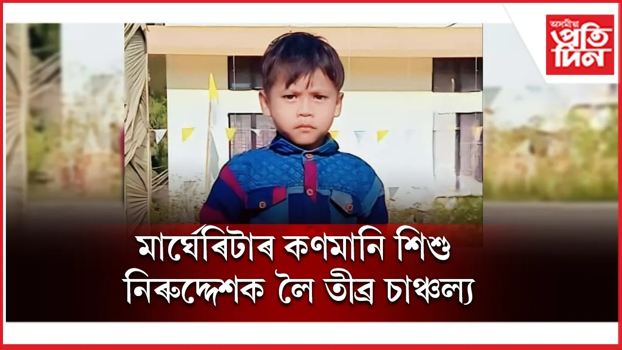 WhatsApp Image 2025-11-17 at 8.56.02 PM