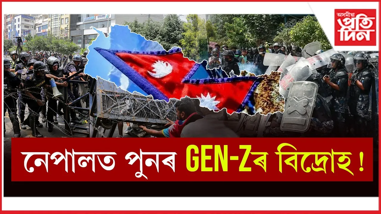 WhatsApp Image 2025-11-20 at 6.23.37 PM