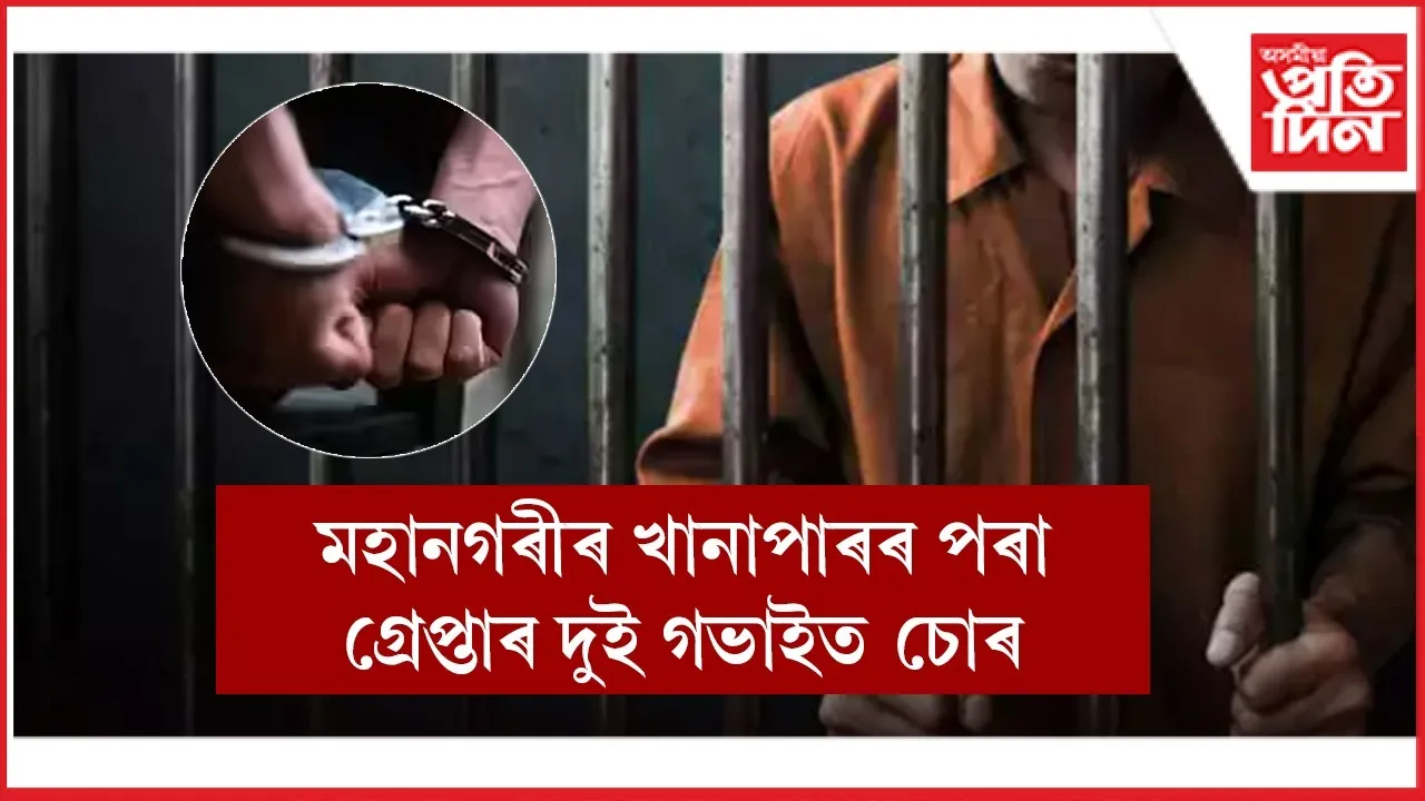 WhatsApp Image 2025-11-20 at 11.12.42 PM