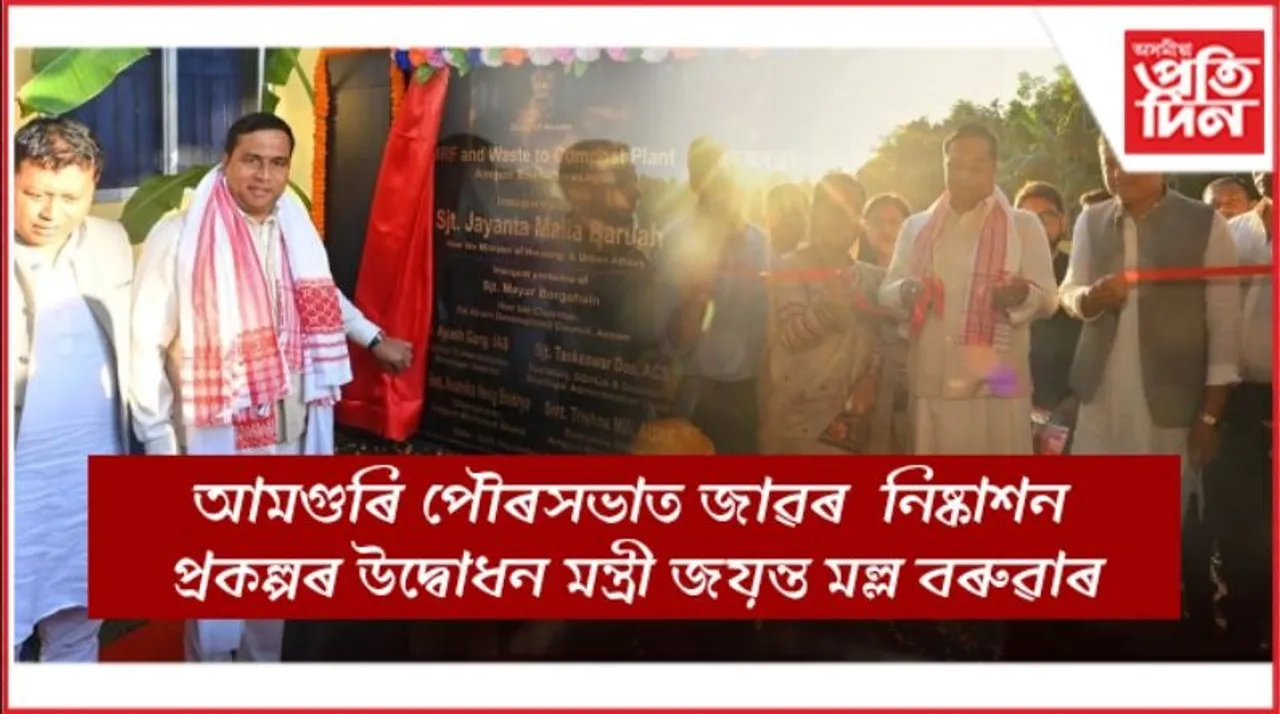 WhatsApp Image 2025-11-20 at 8.06.22 PM