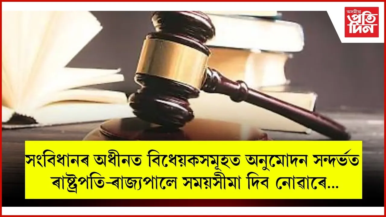 WhatsApp Image 2025-11-21 at 9.00.25 AM